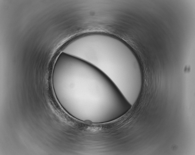 X0000113620440200909181120