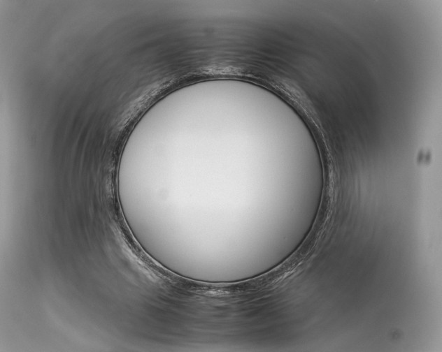 X0000113620441200909181120