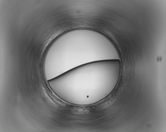 X0000113620443200909181120