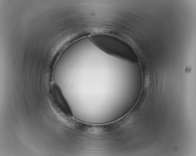 X0000113620444200909181120