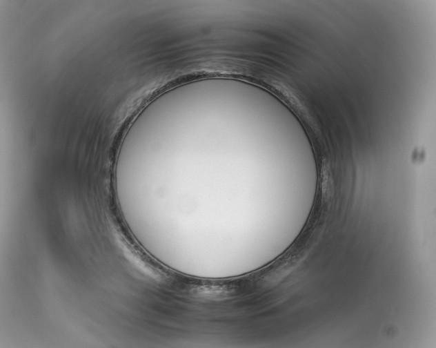 X0000113620445200909181120