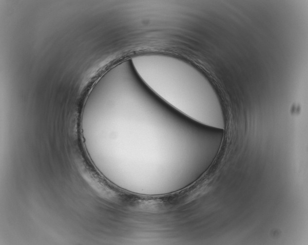 X0000113620446200909181120