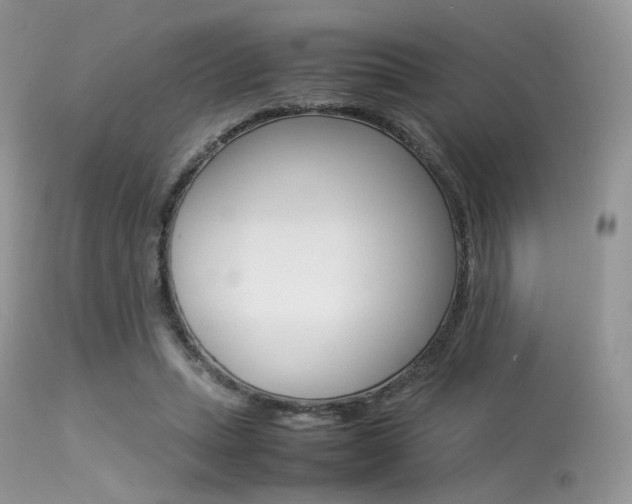 X0000113620447200909181120