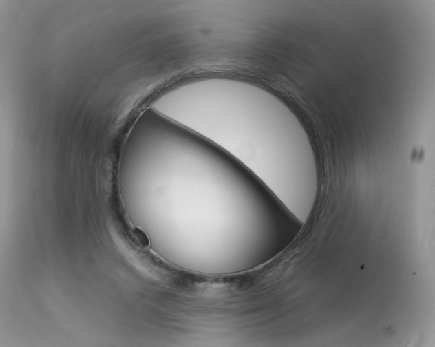 X0000113620448200909181120