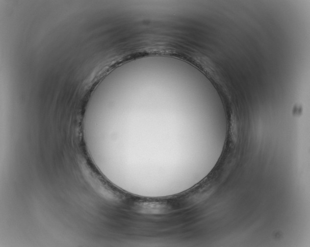 X0000113620449200909181120