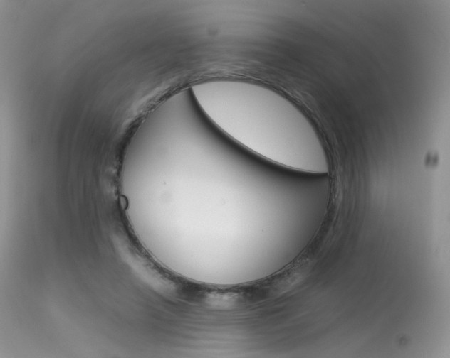 X0000113620450200909181120