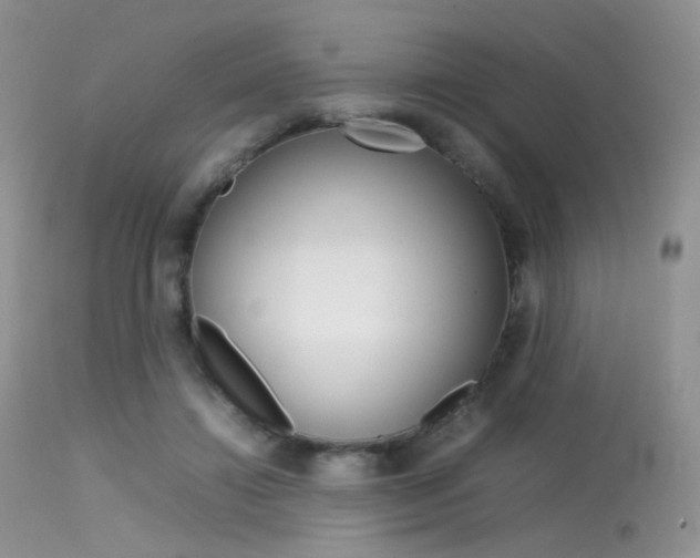 X0000113620452200909181120