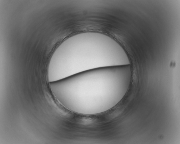 X0000113620453200909181120