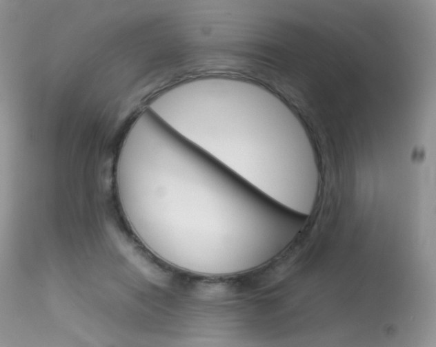 X0000113620454200909181120