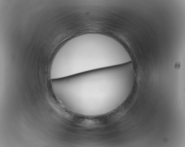 X0000113620455200909181120