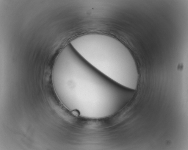 X0000113620458200909181120