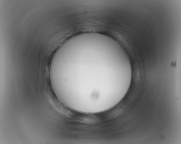 X0000113620459200909181120