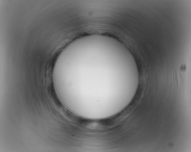 X0000113620460200909181120