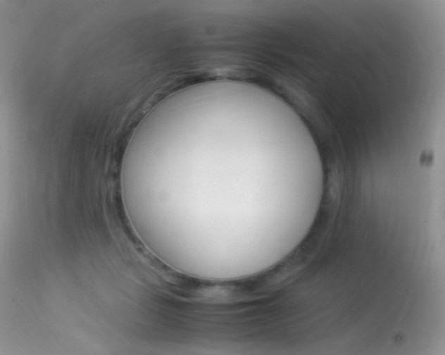 X0000113620461200909181120