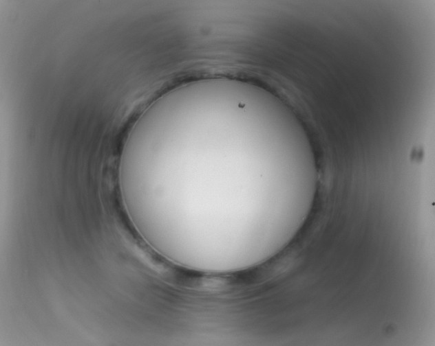 X0000113620462200909181120