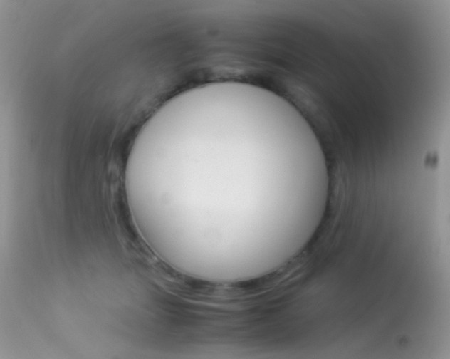 X0000113620463200909181120