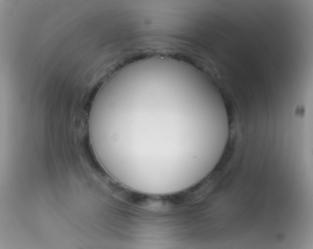 X0000113620464200909181120