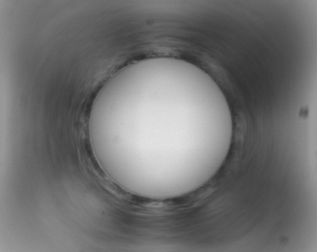 X0000113620465200909181120