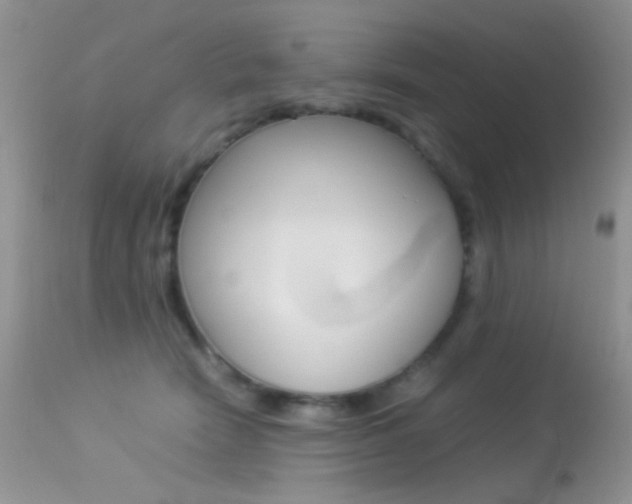 X0000113620466200909181120