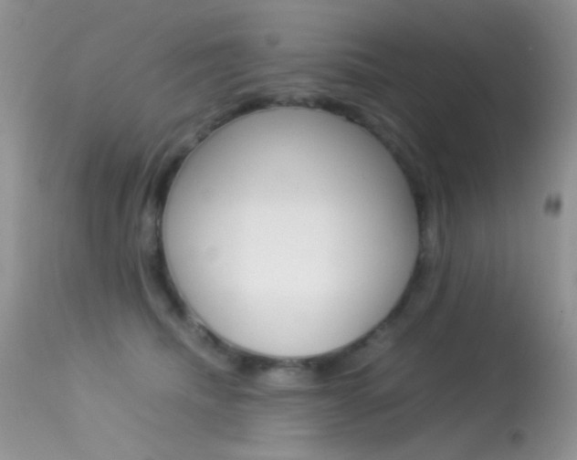 X0000113620468200909181120