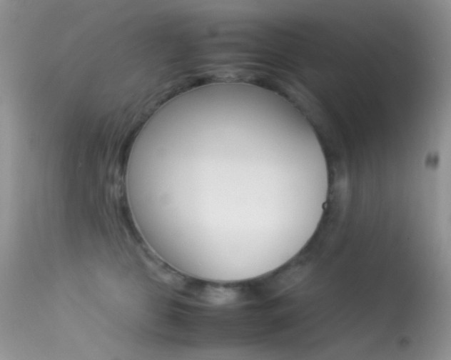 X0000113620469200909181120