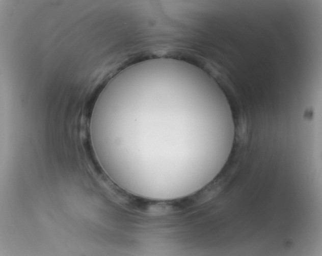 X0000113620470200909181120