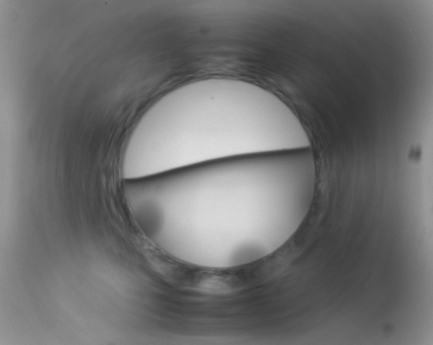 X0000113620471200909181120