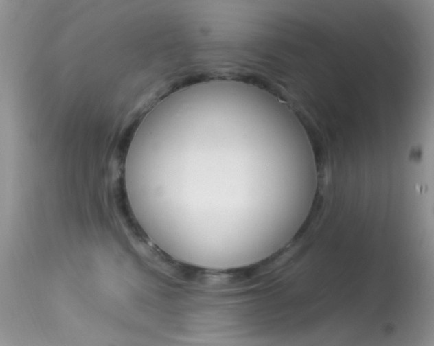 X0000113620472200909181120