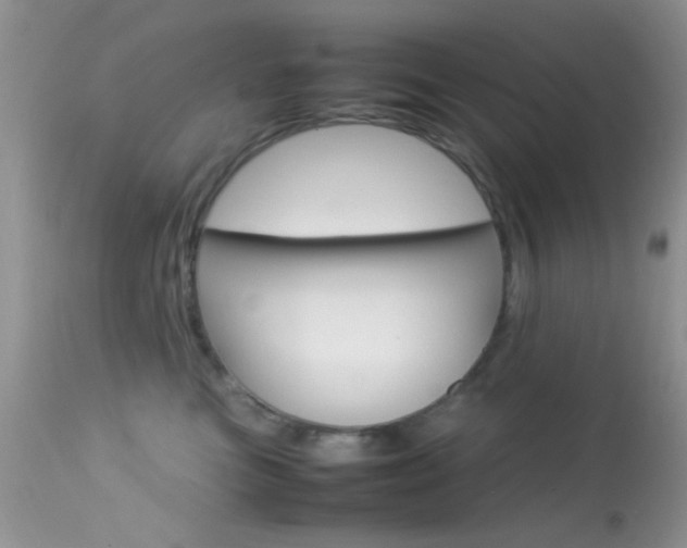 X0000113620473200909181120