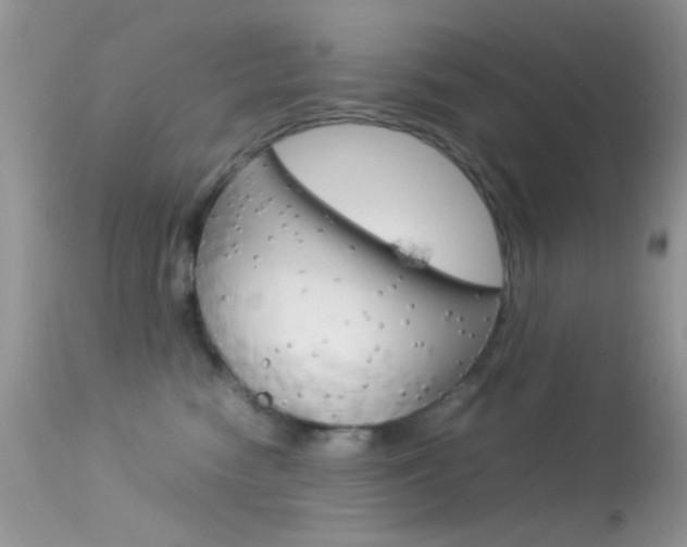 X0000113620474200909181120