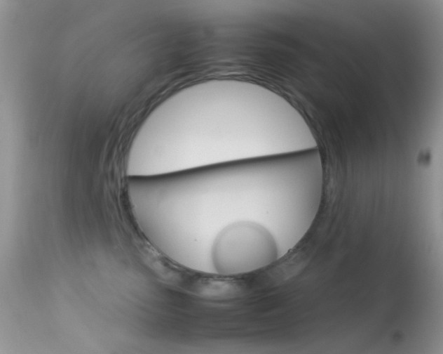 X0000113620475200909181120