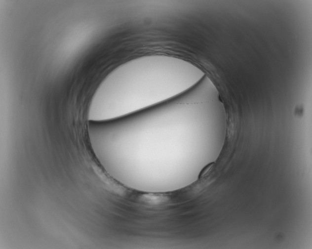 X0000113620477200909181120