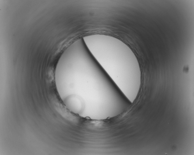 X0000113620478200909181120