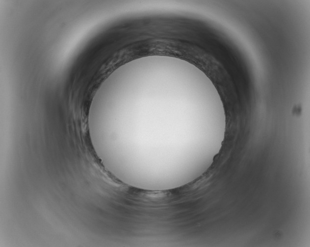 X0000113620479200909181120