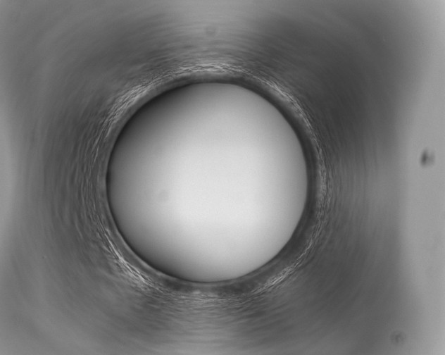 X0000113620481200909181120