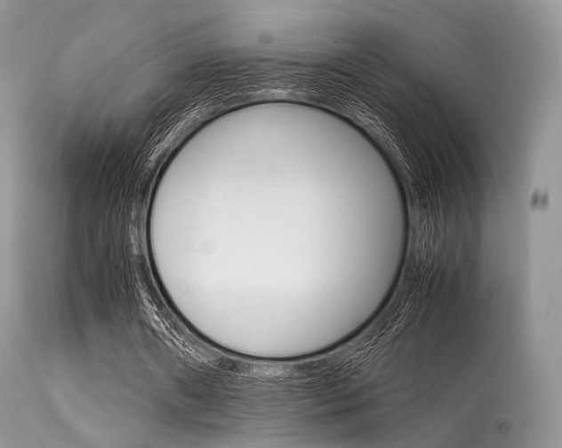 X0000113620482200909181120