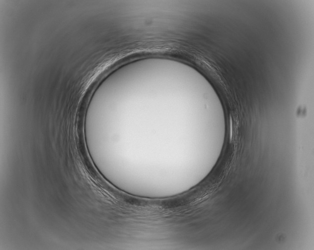 X0000113620483200909181120