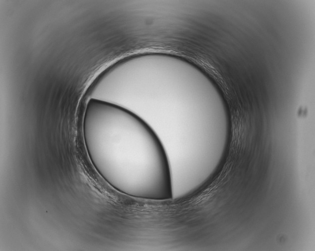 X0000113620484200909181120