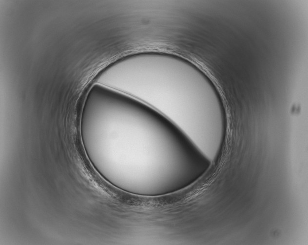 X0000113620485200909181120