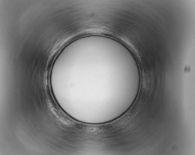 X0000113620486200909181120