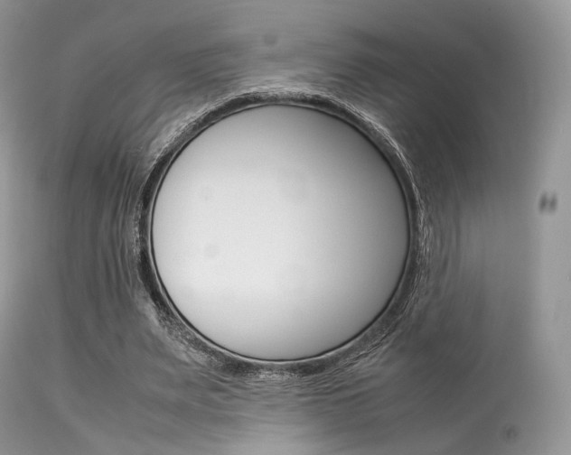 X0000113620487200909181120