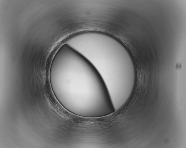 X0000113620488200909181120