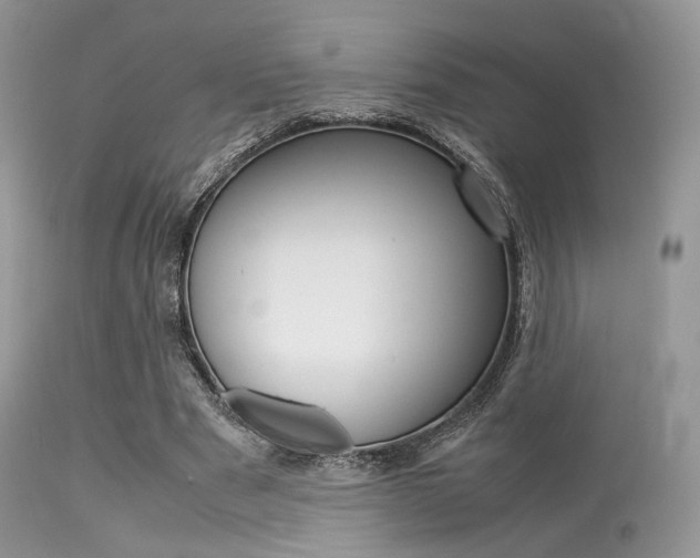 X0000113620489200909181120