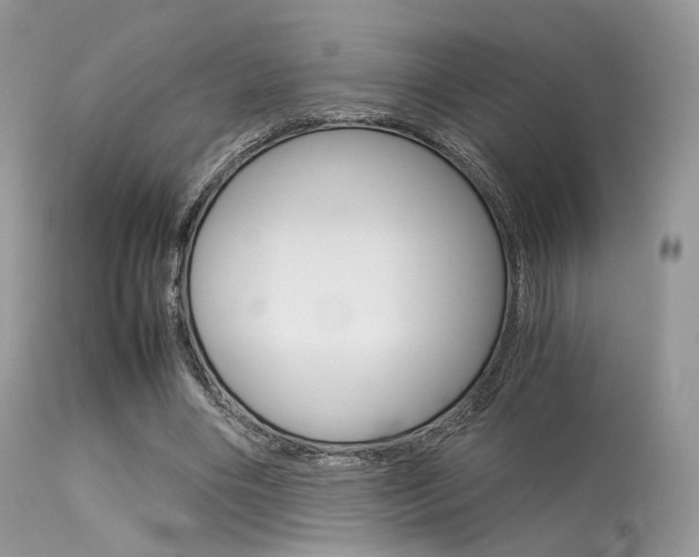 X0000113620490200909181120