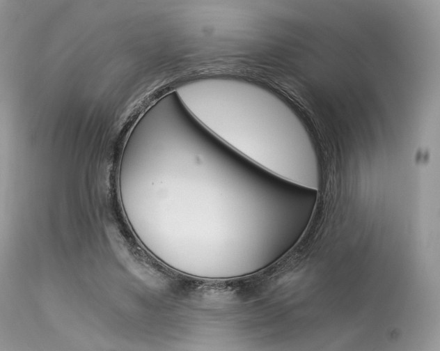 X0000113620491200909181120