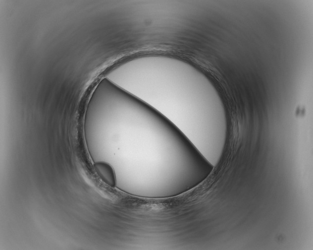 X0000113620492200909181120