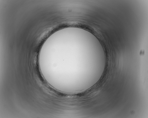 X0000113620495200909181119