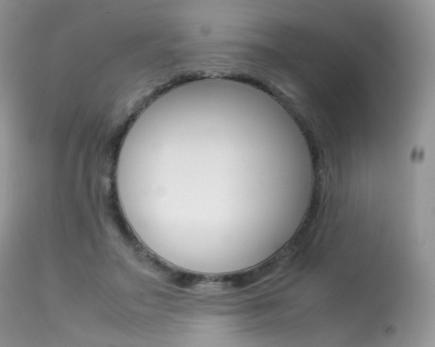 X0000113620499200909181119