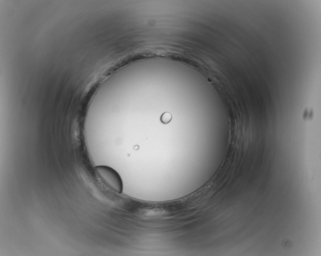 X0000113620500200909181119