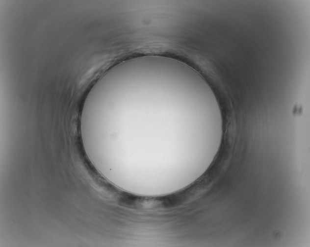 X0000113620501200909181119